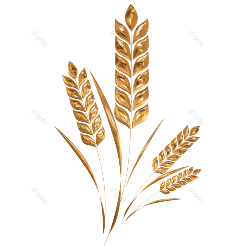 芒种图片,秋天元素,金属质感PNG,麦穗免抠素材